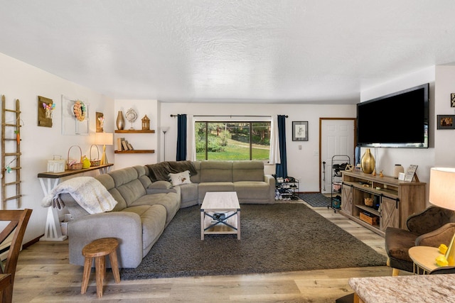 living room featuring wood finished floors