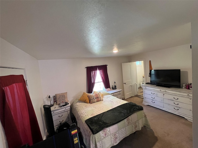 509 N 5th St, Hamilton, MT 59840 - bedroom featuring carpet floors