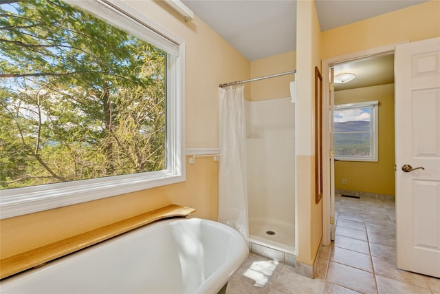 7100 Black Lake Rd, Rexford, MT 59930 - bathroom featuring a stall shower, plenty of natural light, and tile patterned floors