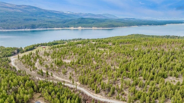 drone / aerial view with a water and mountain view and a forest view