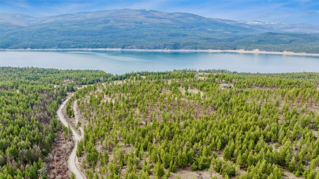 7100 Black Lake Rd, Rexford, MT 59930 - bird's eye view of a forest and a water and mountain view