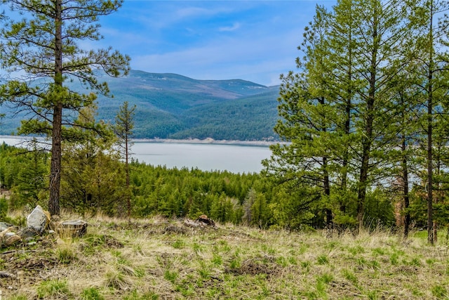 view of mountain feature featuring a water view and a view of trees