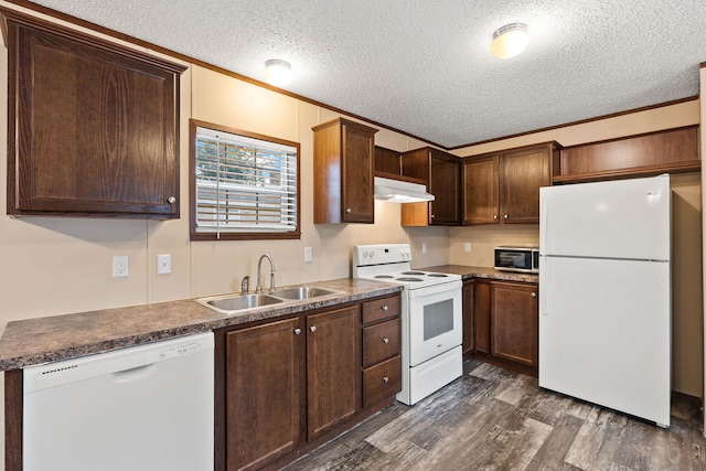 kitchen with a sink, white appliances, a textured ceiling, dark wood-type flooring, and under cabinet range hood
