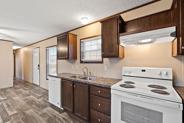 kitchen featuring dark wood-style flooring, dark brown cabinets, a sink, white appliances, and under cabinet range hood