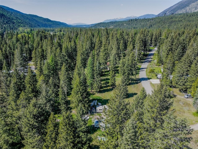 350 Piney Rd, Troy, MT 59935