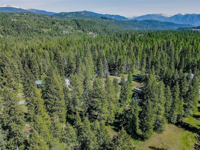 350 Piney Rd, Troy, MT 59935