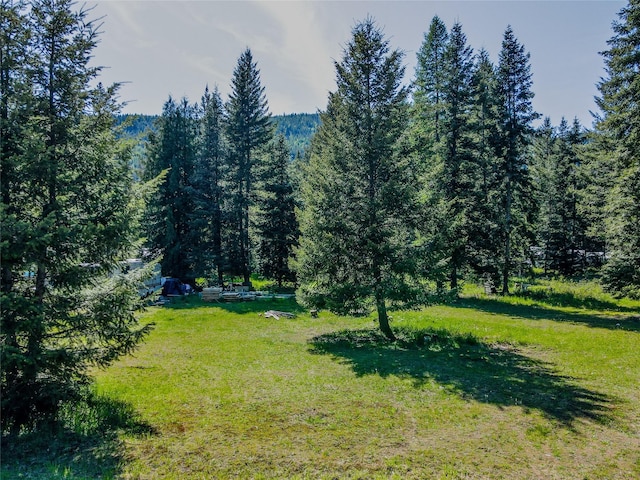 350 Piney Rd, Troy, MT 59935