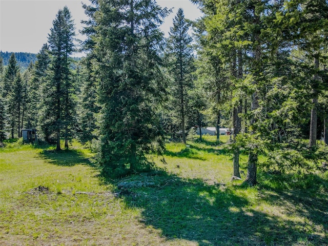 350 Piney Rd, Troy, MT 59935