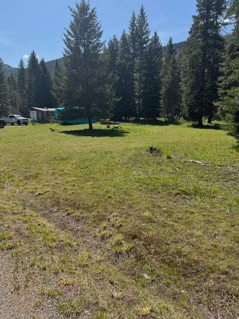 350 Piney Rd, Troy, MT 59935