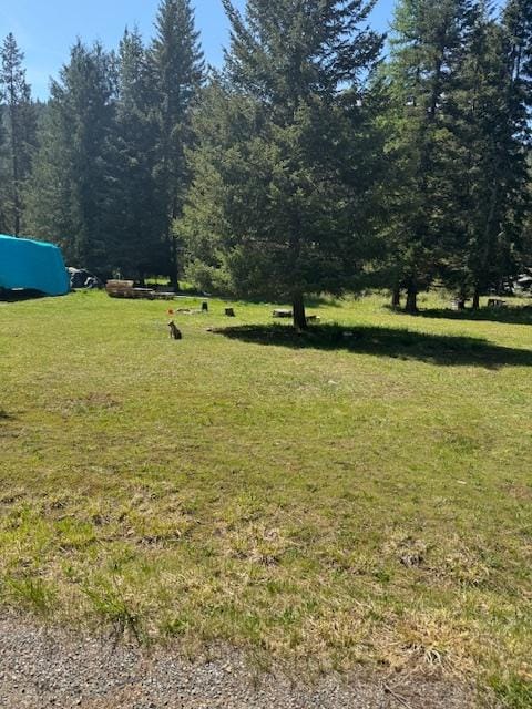 350 Piney Rd, Troy, MT 59935