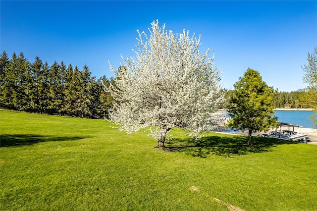 view of yard with a water view