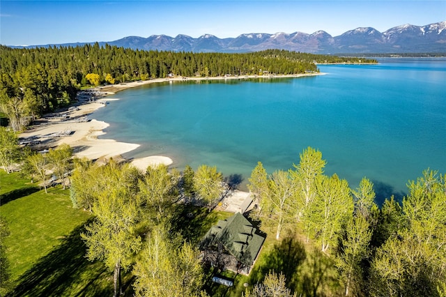 aerial view featuring a water and mountain view and a view of trees