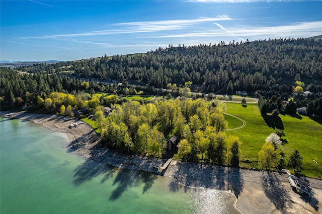 drone / aerial view featuring a view of trees