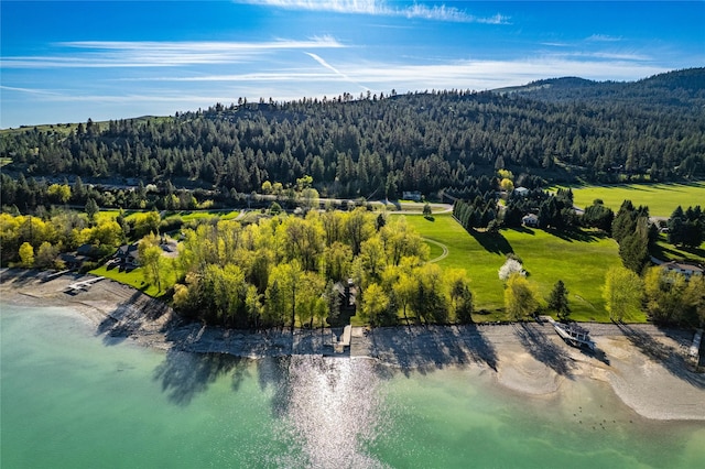 bird's eye view with a mountain view and a forest view