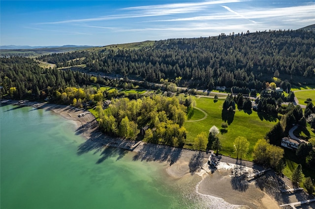 drone / aerial view featuring a water and mountain view and a view of trees