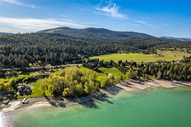 drone / aerial view featuring a view of trees and a mountain view