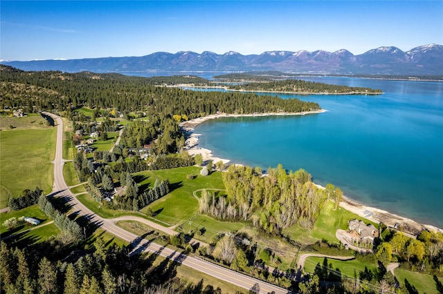 aerial view featuring a water and mountain view and a view of trees
