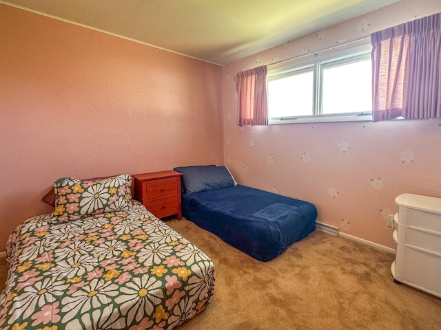 bedroom with carpet floors