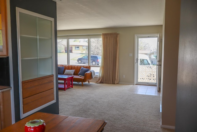 interior space with a wealth of natural light