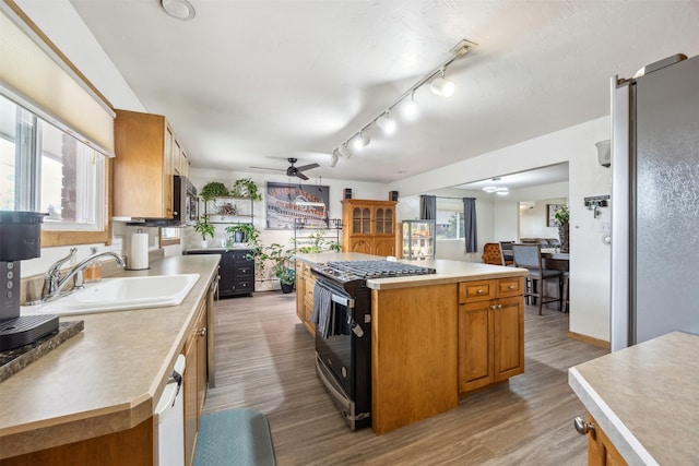 kitchen with light wood-style floors, ceiling fan, a sink, a wealth of natural light, and stainless steel appliances