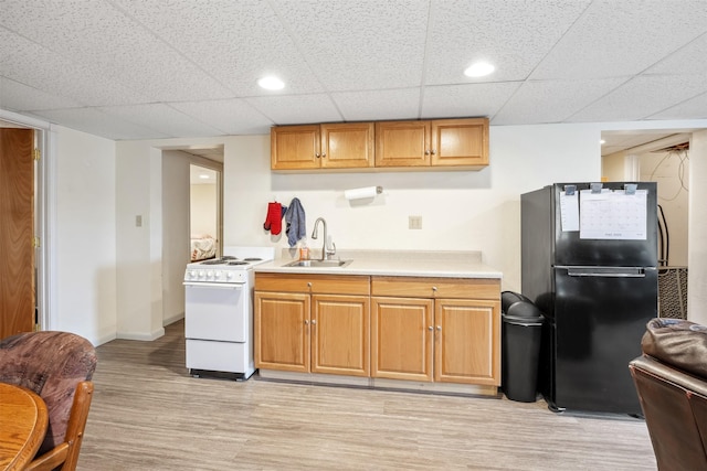 kitchen featuring electric range, a sink, light countertops, freestanding refrigerator, and light wood finished floors