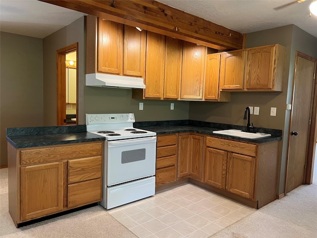 kitchen featuring electric range, dark countertops, light carpet, a sink, and under cabinet range hood