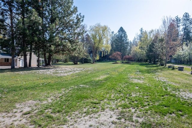 view of yard