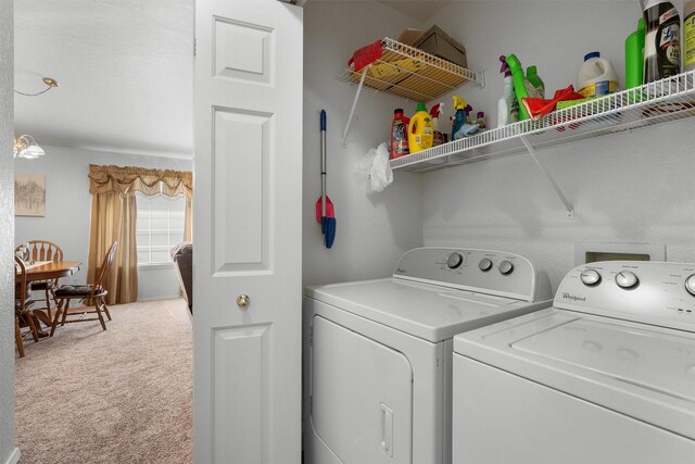 laundry area featuring laundry area, carpet, and washing machine and clothes dryer