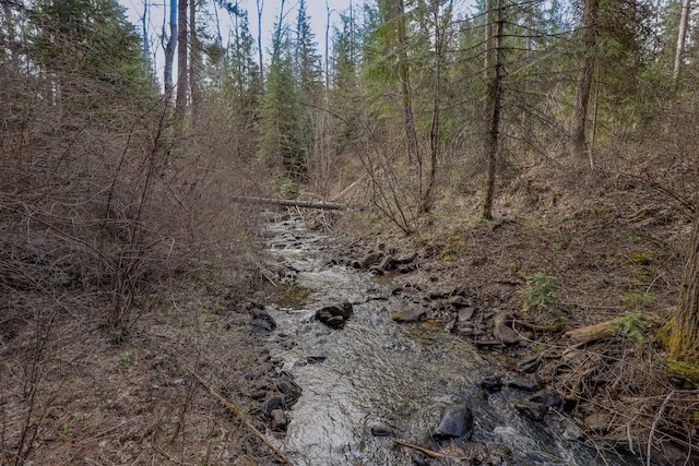 Nhn Warland Creek Road, Libby, MT 59923