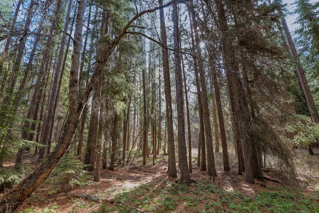Nhn Warland Creek Road, Libby, MT 59923