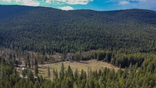Nhn Warland Creek Road, Libby, MT 59923