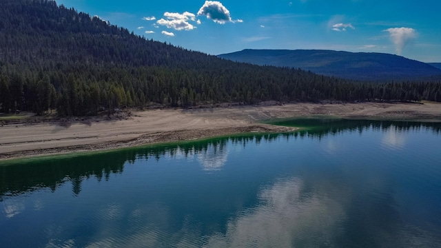 Nhn Warland Creek Road, Libby, MT 59923