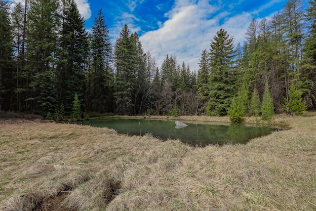 Nhn Warland Creek Road, Libby, MT 59923