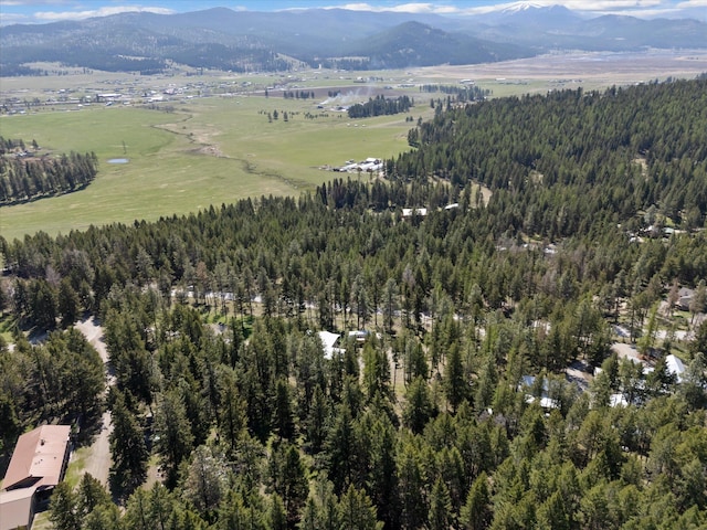 birds eye view of property with a forest view and a mountain view