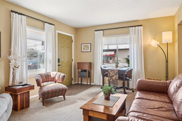 1702 Bancroft St, Missoula, MT 59801 - living room featuring baseboards and carpet