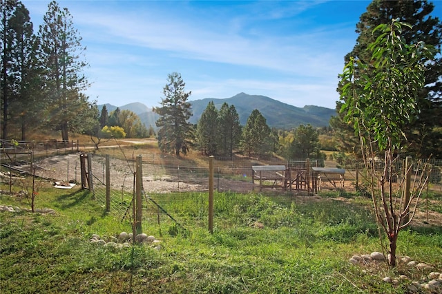 330 Bowman Rd, Hamilton, MT 59840 - view of yard with a mountain view and a rural view