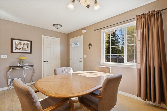 1020 3rd Ave E, Columbia Falls, MT 59912 - dining room with baseboards, ceiling fan, and light wood-style flooring