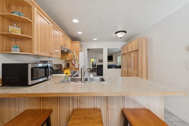 1020 3rd Ave E, Columbia Falls, MT 59912 - kitchen featuring a sink, light countertops, stainless steel appliances, a peninsula, and under cabinet range hood