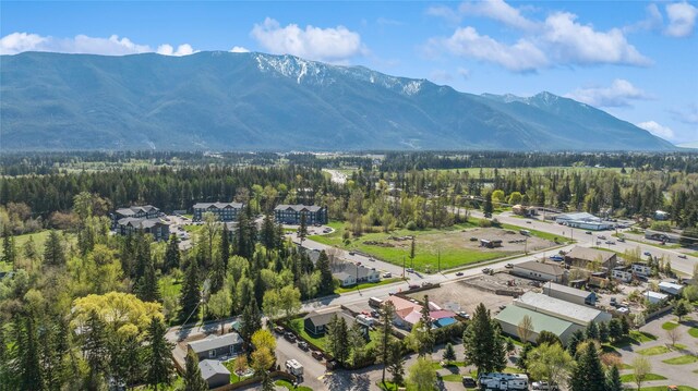 1020 3rd Ave E, Columbia Falls, MT 59912 - drone / aerial view featuring a view of trees and a mountain view