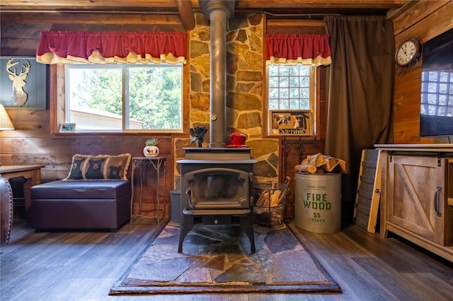 living area featuring a wood stove and wood finished floors