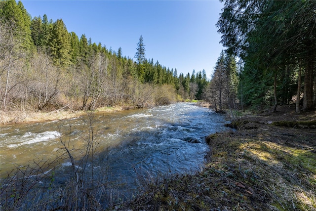property view of water with a forest view