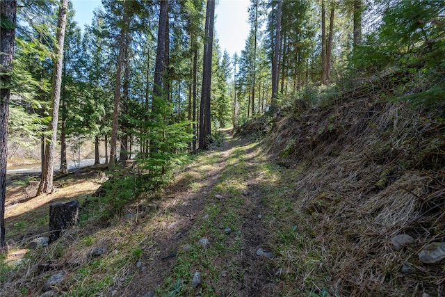 view of nature