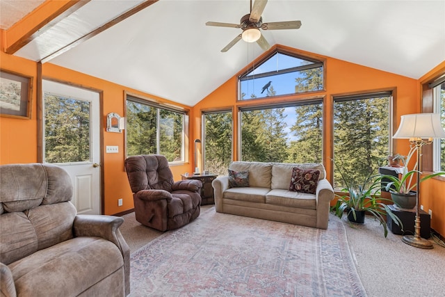 living area featuring ceiling fan, lofted ceiling with beams, and carpet flooring