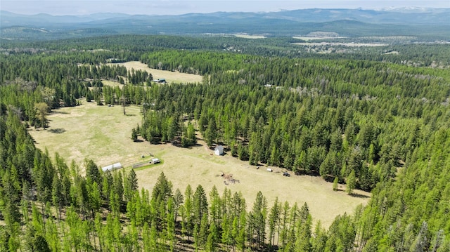 birds eye view of property with a view of trees and a mountain view