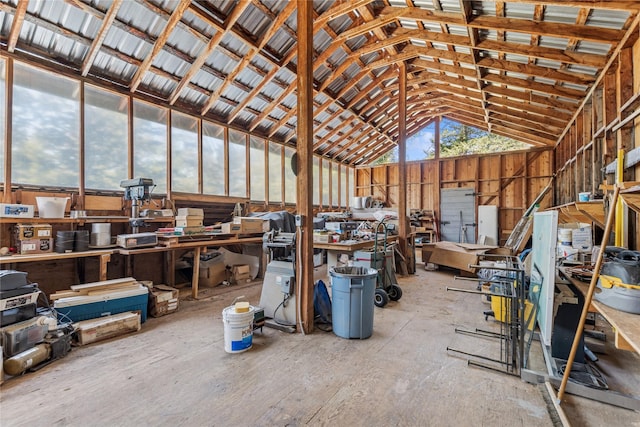 miscellaneous room featuring a workshop area, plenty of natural light, and lofted ceiling