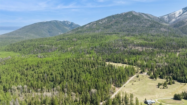 view of mountain feature with a view of trees