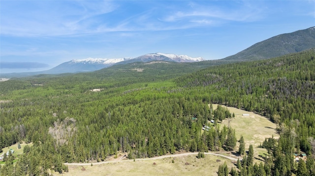 view of mountain feature featuring a wooded view