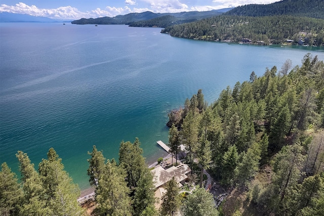 birds eye view of property featuring a water and mountain view and a forest view
