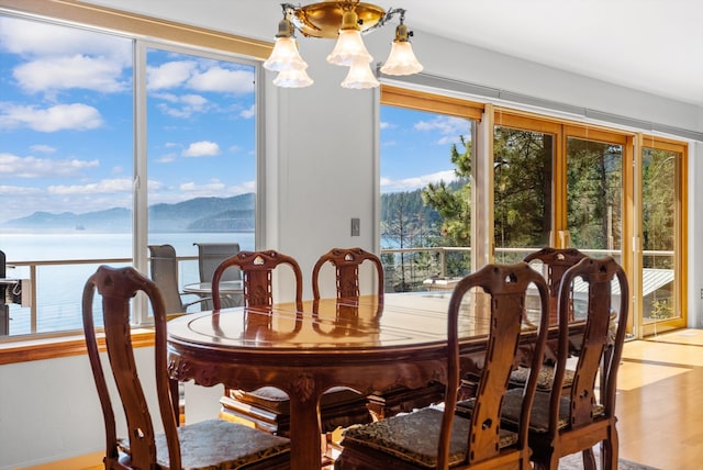 dining room featuring a water and mountain view, wood finished floors, and a healthy amount of sunlight