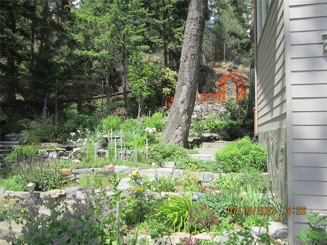 view of yard
